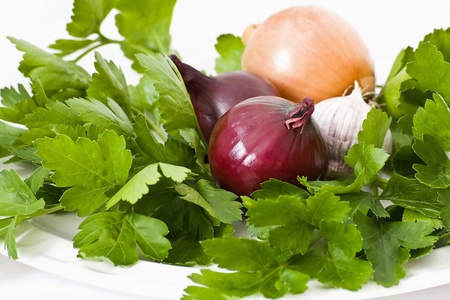 parsley and onionの写真素材
