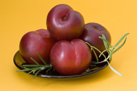red plums and rosemaryの写真素材