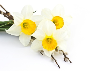 easter decoration - narcissus flowersの写真素材