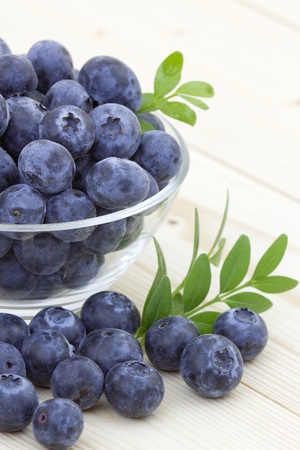 fresh blueberries in a bowlの写真素材