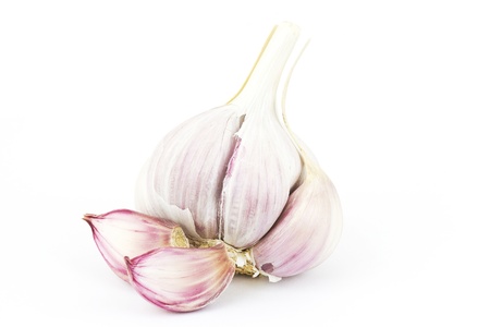 fresh garlicの写真素材