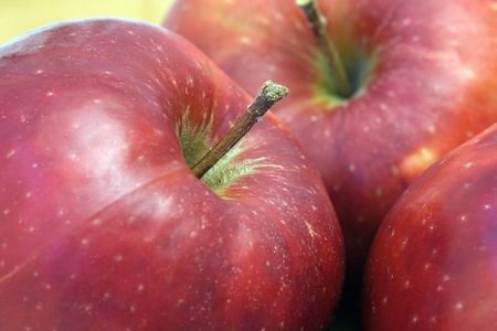 red applesの写真素材