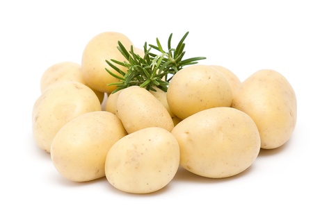 potatoes and fresh rosemaryの写真素材