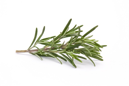 fresh rosemary (rosmarinus officinalis)の写真素材