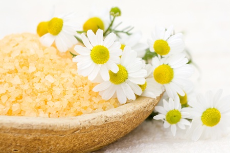 chamomile spaの写真素材