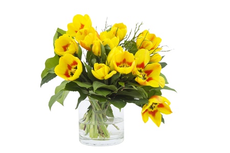 Beautiful yellow tulips in a vase on a white background の写真素材