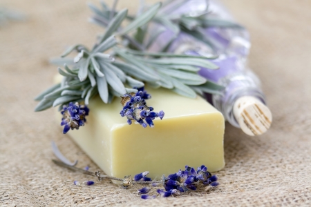 bar of natural soap
の写真素材