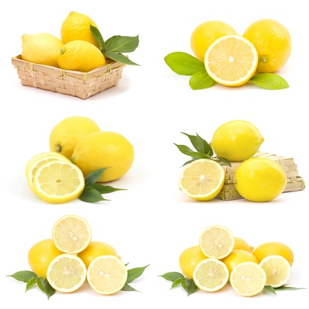 collection of fresh lemonsの写真素材