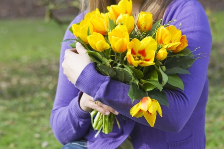 Bunch of tulips in womanの写真素材