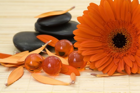 spa stones, oil bath pearls and red gerberの写真素材