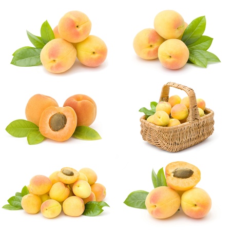 collection of fresh apricot fruitsの写真素材