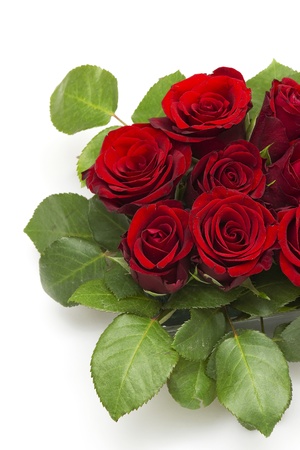 red rosesの写真素材