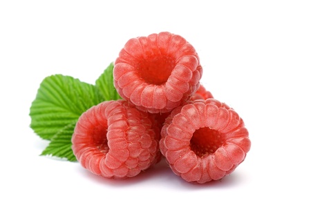 fresh raspberriesの写真素材