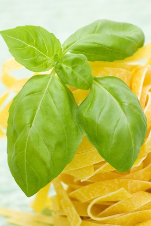 tagliatelle and basilの写真素材