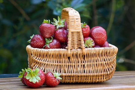 basket full of strawberries の写真素材