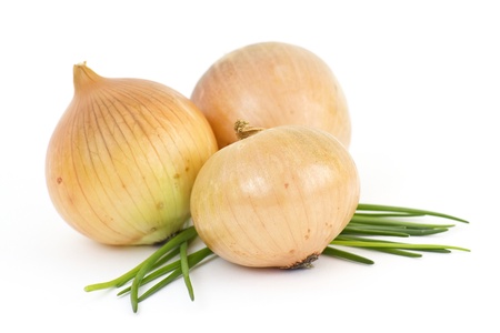 fresh bulbs of onion on a white backgroundの写真素材