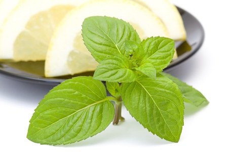 close up of mint leavesの写真素材