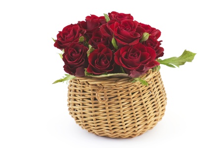 red rosesの写真素材