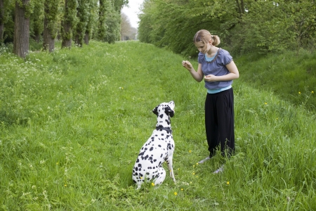 little girl and her dogの写真素材