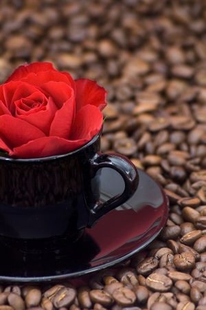 cup with red rose and coffeeの写真素材