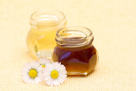 honey and daisiesの写真素材