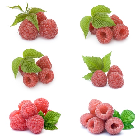 collection of fresh raspberriesの写真素材