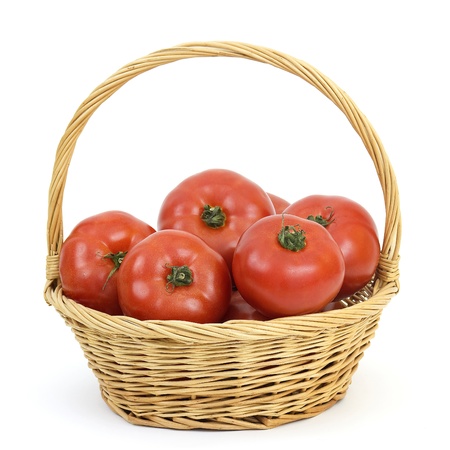 basket full of tomatoesの写真素材