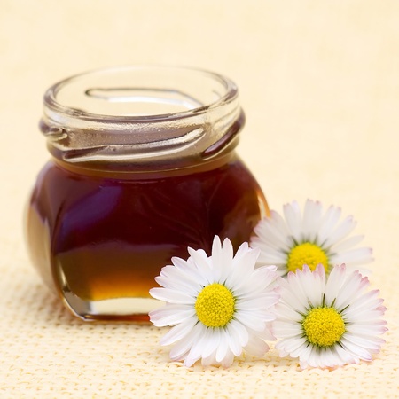 honey and daisiesの写真素材