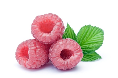 fresh raspberriesの写真素材