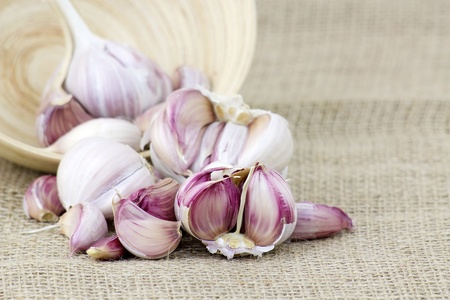 fresh garlicの写真素材