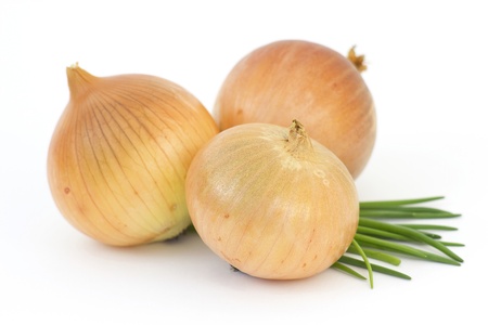fresh bulbs of onion on a white backgroundの写真素材