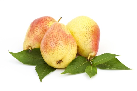 fresh pearsの写真素材
