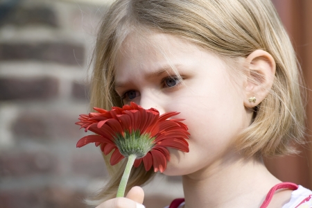 portrait of the girl with gerberの写真素材