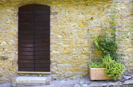 old tuscan wall with doors and flowersの写真素材