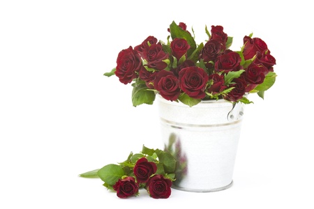 red roses in a bucketの写真素材