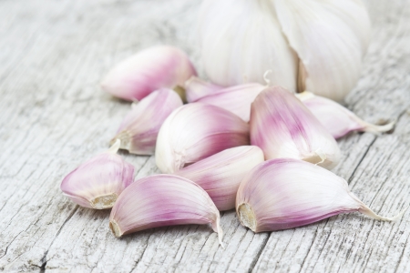 fresh garlicの写真素材