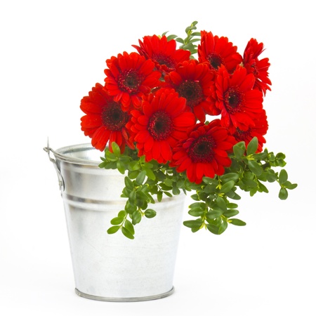 bouquet of gerbera flowers in a bucketの写真素材
