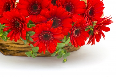 gerbera flowers in a basketの写真素材