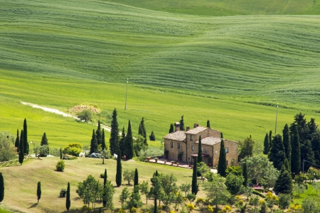 Tuscany - green typical landscape in spring timeの写真素材