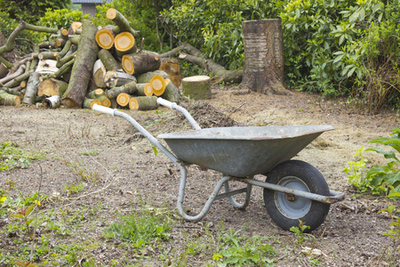 firewood in the gardenの写真素材