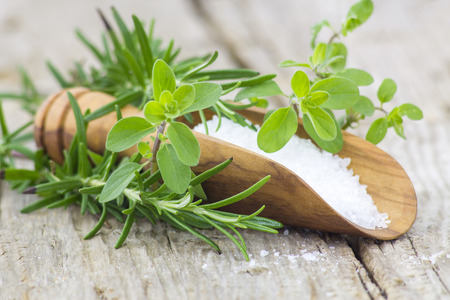 Healthy sea salt and fresh herbsの写真素材