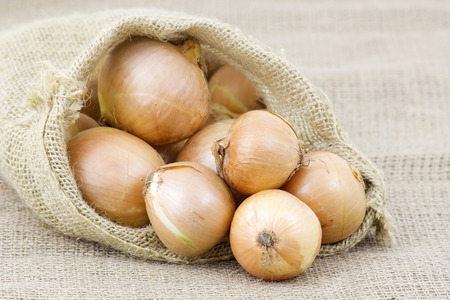 Fresh onions in packageの写真素材