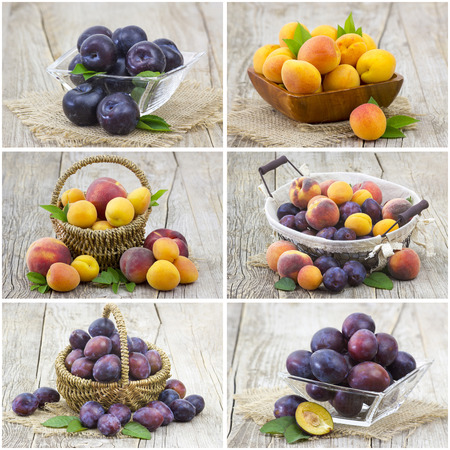 fresh fruits - collageの写真素材