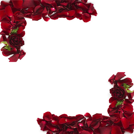 frame of red rose petalsの写真素材