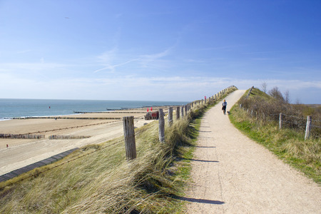 Walking with the dog in the dunes, Zoutelande, Netherlandsの写真素材