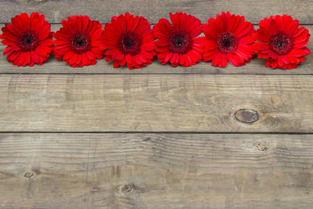 red gerbera flowers on wooden backgroundの写真素材