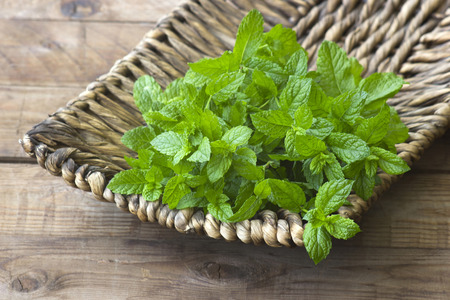 mint leaves in a basketの写真素材