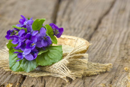 Viola odorata -  spring flowers bouquet