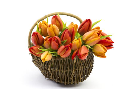 tulips in a basket - mother's dayの写真素材