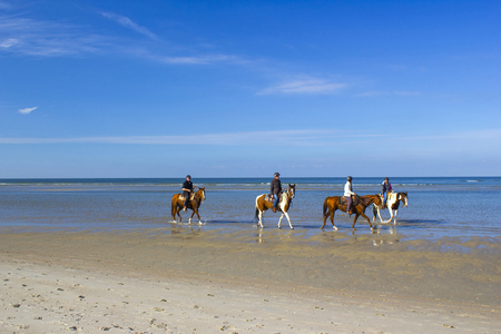 RENESSE - OKTOBER 20 2018: unknown riders on horses on the beach in Renesse, Zeeland, the Netherlandsのeditorial素材